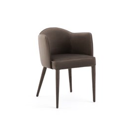 Sillón de mesa de terciopelo, Leos