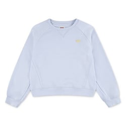 Sudadera de cuello redondo con insignia en el pecho, de tejido polar, BATWING