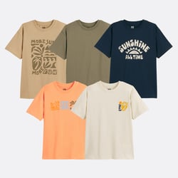 Lote de 5 camisetas de manga corta