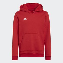 Sudadera con capucha de felpa