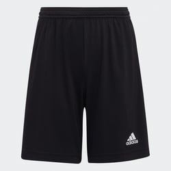 Short adidas Performance image