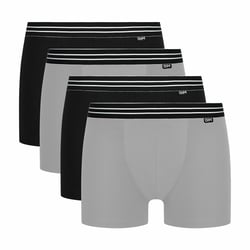 Set van 4 boxershorts Ecodim DIM image