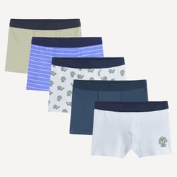 5er-Pack Boxershorts mit Hundemotiv LA REDOUTE COLLECTIONS image