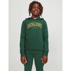 Свитшот с капюшоном из мольтона JACK & JONES JUNIOR image