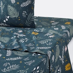 Drap plat percale de coton, Suzanne LA REDOUTE INTERIEURS image