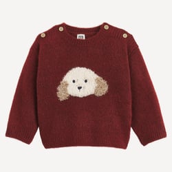 Pull col rond, en grosse maille, motif chien en jacquard LA REDOUTE COLLECTIONS image