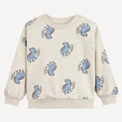 Sweat col rond, imprimé dinosaures, en molleton LA REDOUTE COLLECTIONS image