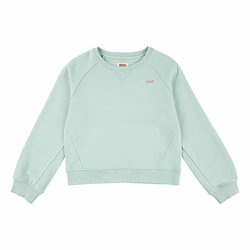 Crew Neck Sweatshirt LEVI'S KIDS image