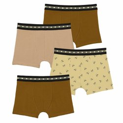 Lot de 4 boxers fashion coton DIM image