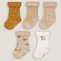 Confezione da 5 paia di calze LA REDOUTE COLLECTIONS image