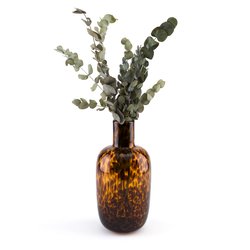 Vaso in vetro ambrato H30cm, Fauvita LA REDOUTE INTERIEURS image