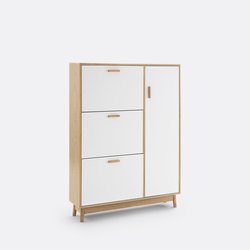Sheldon Shoe Cabinet with 3 Compartments & 1 Cupboard SO'HOME image