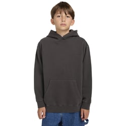 Sweat à capuche LOWCASE PIGMENT PO Y ELEMENT image