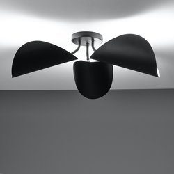 Plafonnier abat-jour orientables, Funambule AM.PM image