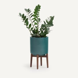 Florian 43cm High Walnut Stand Planter AM.PM image