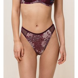 String Lavish Spotlight TRIUMPH image