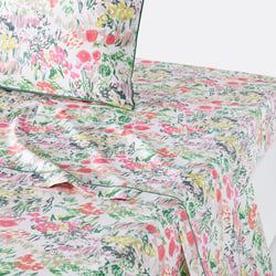 Drap plat percale de coton, Colored Field LA REDOUTE INTERIEURS image