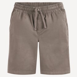 Short VANS image