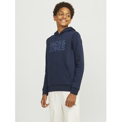 Sweat capuche avec logo en molleton JACK & JONES JUNIOR image