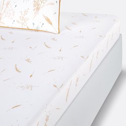 Drap housse pur coton, Graminée LA REDOUTE INTERIEURS image