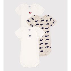 Confezione da 3 body maniche corte PETIT BATEAU image
