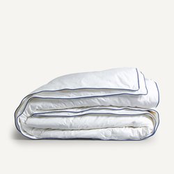 Seidenduvet Galaad, 300 g/m² AM.PM image