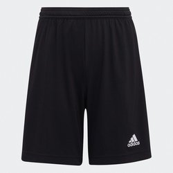 Calções adidas Performance image