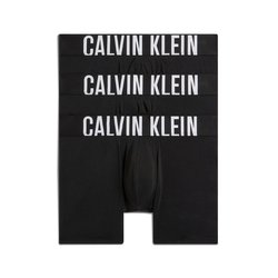Lot de 3 boxers brief CALVIN KLEIN UNDERWEAR image