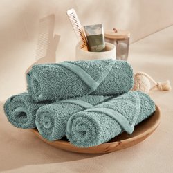 Confezione da 4 asciugamani ospiti spugna 600 g/m², Zavara LA REDOUTE INTERIEURS image