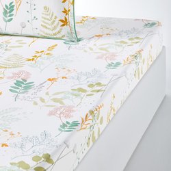 Drap housse percale de coton, Herbarium LA REDOUTE INTERIEURS image