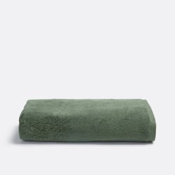 Maxi drap bain moelleux 500 g/m2, Talmont LA REDOUTE INTERIEURS image