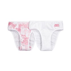Set van 2 slips, made in France LA REDOUTE COLLECTIONS image
