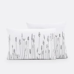 Funda de almohada de algodón, Flore LA REDOUTE INTERIEURS image