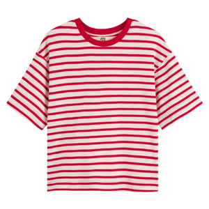 Camisetas