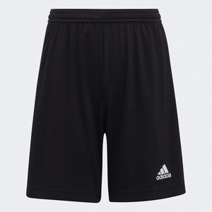 Adidas chino shorts uk mexico cheap