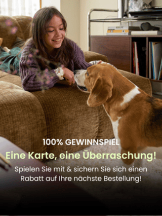 Ich versuche mein Glück