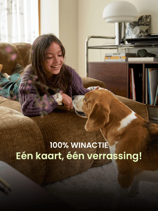 Speel het 100% WINNENDE spel ! 