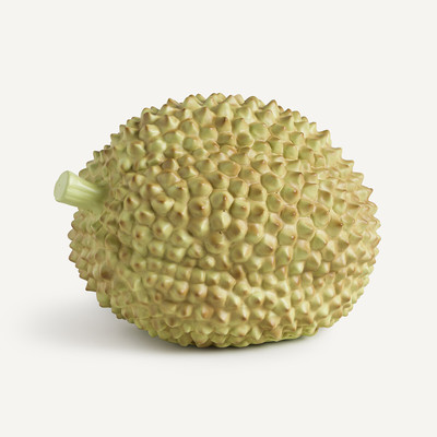 Deko-Objekt Durio, Polyresin AM.PM