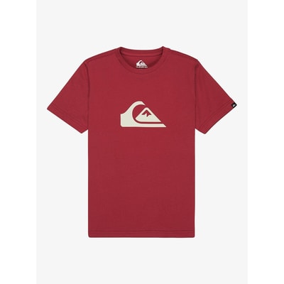 T-shirt met korte mouwen en print vooraan QUIKSILVER