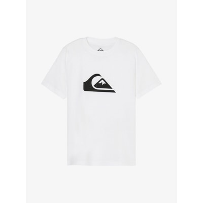 T-shirt met korte mouwen en print vooraan QUIKSILVER