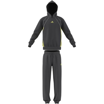 Set van fleece, colorblock, hoodie en joggingbroek ADIDAS SPORTSWEAR