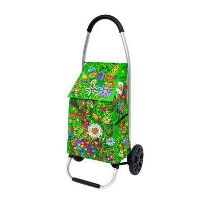 Chariot de courses  Trolly PYLONES
