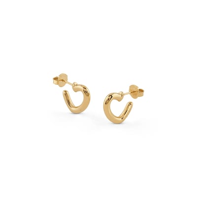 Boucles D’oreilles Iconique GUESS