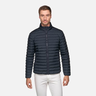Vestes Matelassées  M WARRENS GEOX
