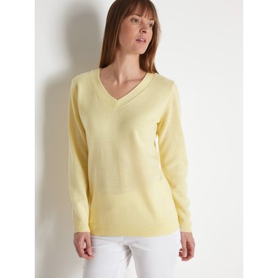 Pull V manches longues DAXON