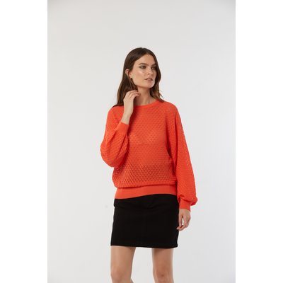Pull manches longues coton regular CALIO LEE COOPER