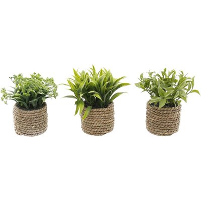 Plante artificielle avec pot tressé (Lot de 3) JARDINDECO