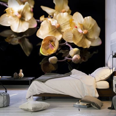 Papier peint intissé panoramique Fleurs Orchids in ecru color EDEN