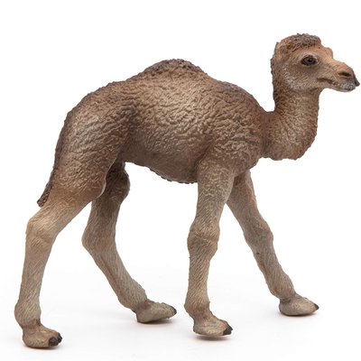 Figurine Bébé dromadaire PAPO