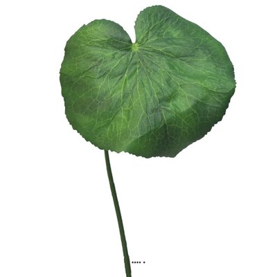 Feuilles de Galax artificielles, en lot de 2 ARTIFICIELLES